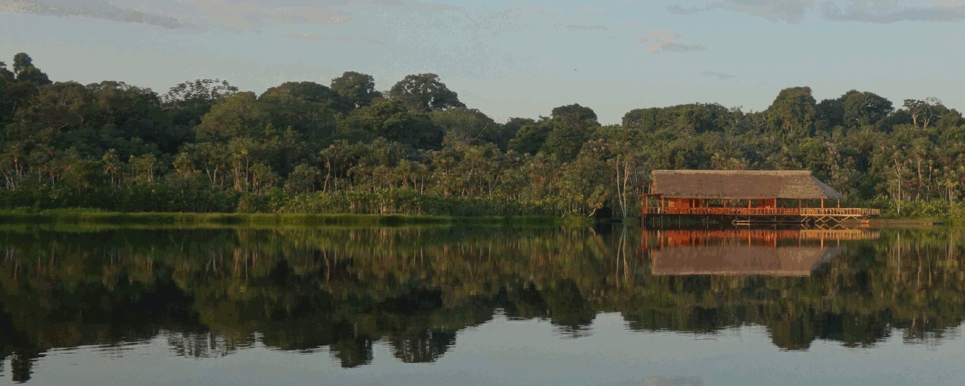 Hoogtepunt Sacha Lodge<span>.<span>